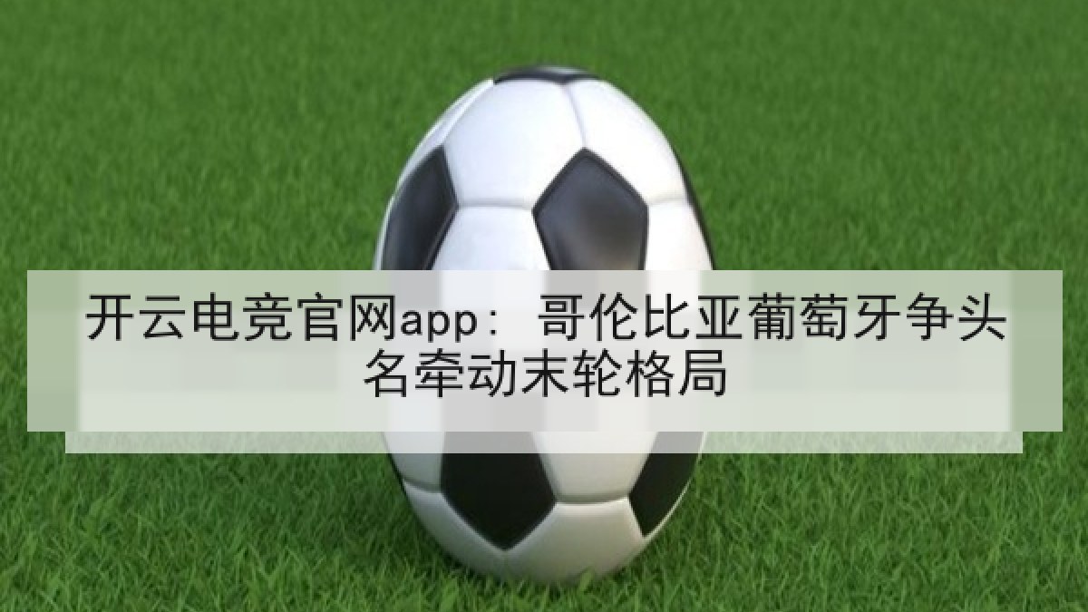 开云电竞官网app: 哥伦比亚葡萄牙争头名牵动末轮格局
